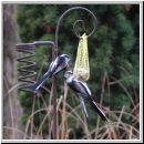 Aegithalos caudatus - Schwanzmeise 01.jpg